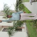 DSC06754