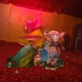 DSC00215