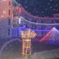 DSC09988