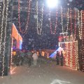 DSC09997